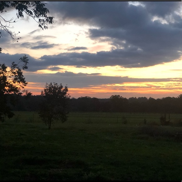 Meet your Posher, Erica - Picture 5 of 8